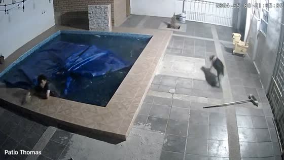 Burglar foiled by covered pool: caught on camera