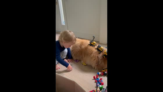 Toddler gently plays with sleeping golden retriever in St. Catharines, Canada