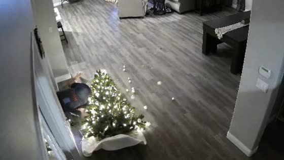 Person playing VR hits wall and knocks over Christmas tree in Bakersfield, California