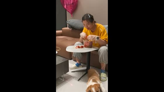 Dog’s daring food grab ends in stumble in Shandong, China