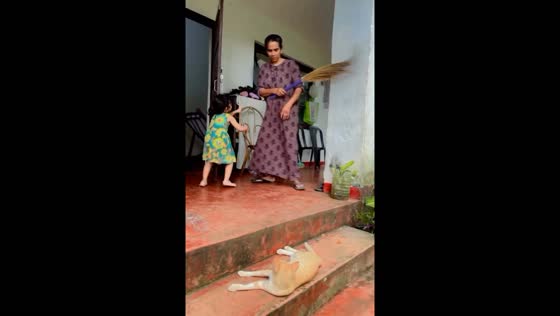 Toddler stops mom from driving away cat in Kozhikode