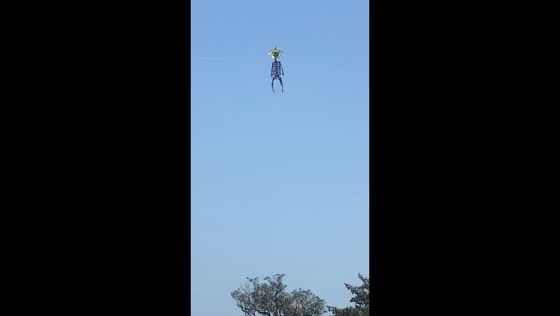 Friends craft and fly a skeleton-shaped kite in Uttar Pradesh, India
