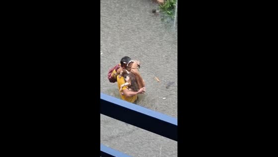 Man rescues dog from waist-high floodwaters in Manila amid typhoon Gaemi