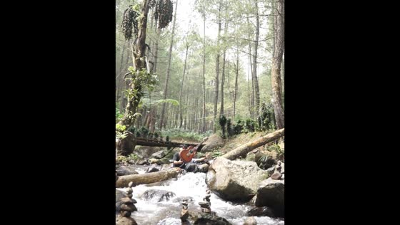 Friends fall into stream after tree trunk breaks in Sumedang, Indonesia