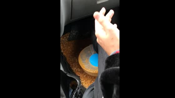 Food spill fallout: family car ride turns into argument over locro mishap