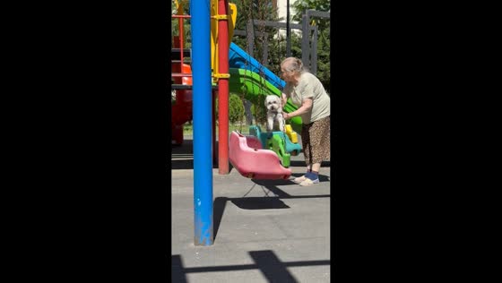 Grandmother treats dog to playground fun in Tbilisi, Georgia