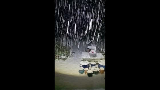 Heavy snowfall blankets garden in Lethen, Scotland, UK