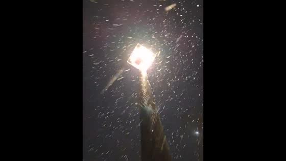 Gentle winter snowfall glows under streetlight in Dayton, Virginia, USA