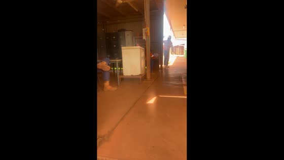 Man startled by loud prank at work in Weipa, Australia