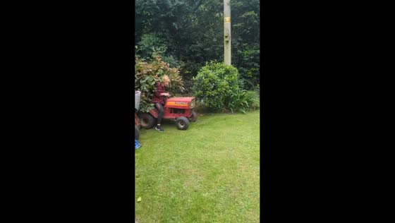 Woman crashes lawn tractor into bushes in Ludlow, England
