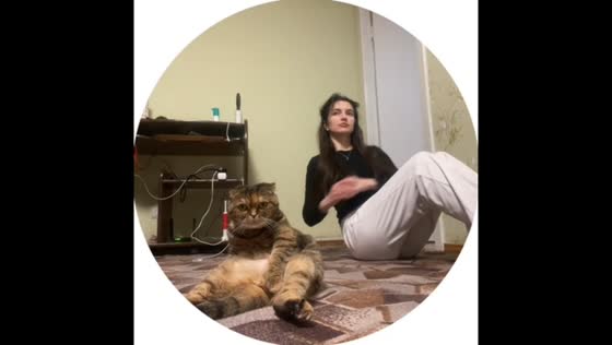 Cat hilariously mimics owner’s workout in Chelyabinsk, Russia