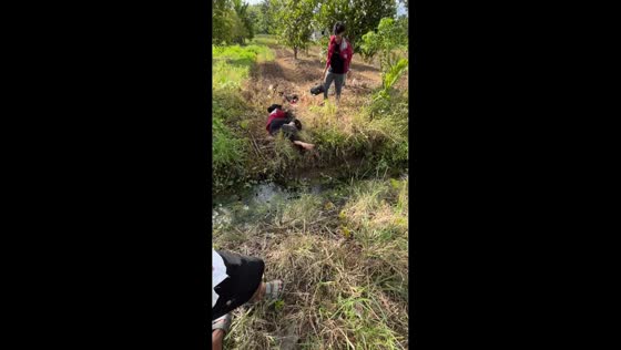 Woman slips while jumping over a gap in Ternate, Indonesia