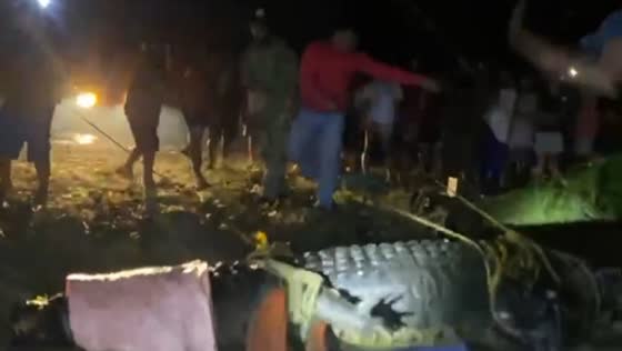 Captured crocodile secured by authorities in Palawan, Philippines