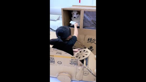 Cardboard car adventure with girl, cat, and dog in Jiangsu, China