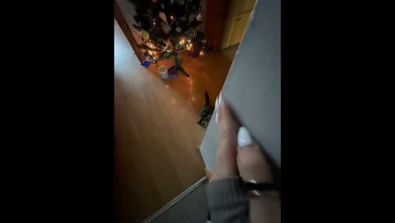Cat surprises teen while scratching nails in Lviv, Ukraine