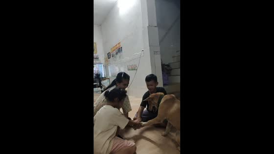 Dog joins children in heartwarming group high-five in Guangxi, China