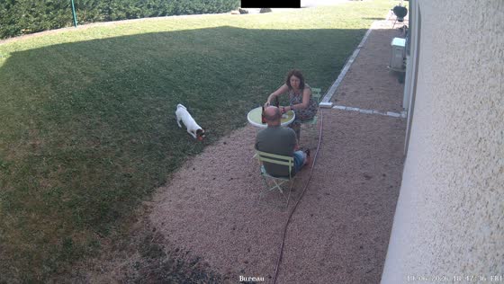 Dog’s fetch game accidentally hits woman in face in Le Puy, France