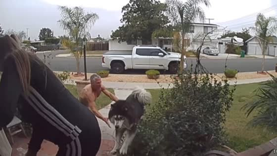 Security camera captures chaotic dog attack outside home in Tustin, California, USA