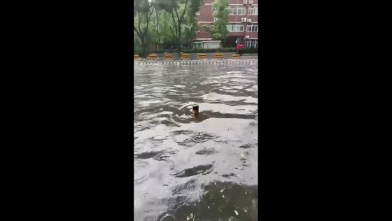 Torrential rain causes urban flooding in Zhengzhou, Henan, China