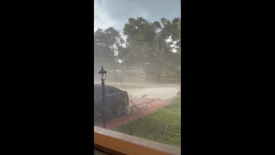 Strong gusts of wind sweep trees and branches in Arcadia, Florida, USA