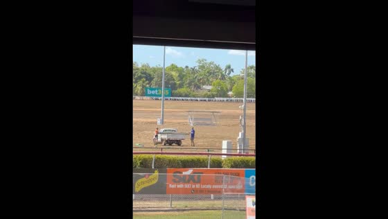 Plovers swoop at maintenance workers during a camping exhibition in Darwin, Australia