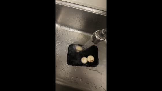 Mushrooms spin rapidly under running water in Jiangsu, China