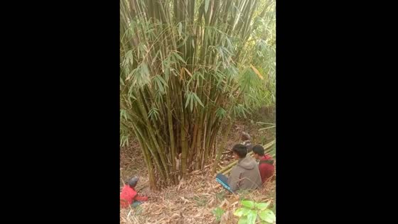 A guy pranks his friends in the forest!