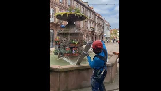 Person attacked by bees after disturbing them in Haguenau, France