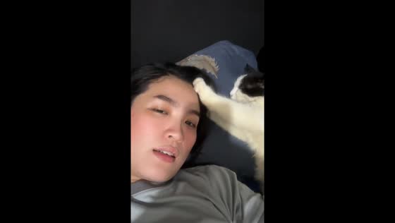 Loki the masseur: cat gives owner a head massage