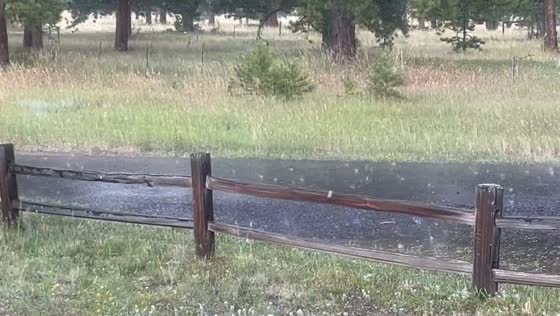 Storm hits Evergreen, Colorado with rain and pea-sized hail