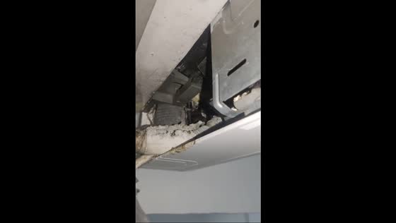 Bird hiding in air conditioning unit in Zhejiang, China