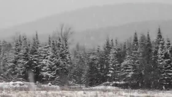 Heavy snowfall transforms Lake Placid, New York, USA