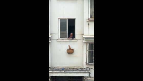 Cat rescued from building ledge using basket lowered from apartment window in Anhui, China