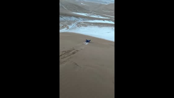 Sand boarding down snowy dunes amazes spectators in Xinjiang, China