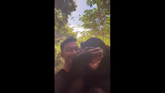 Limbani the chimpanzee smiles in video shared by caretaker