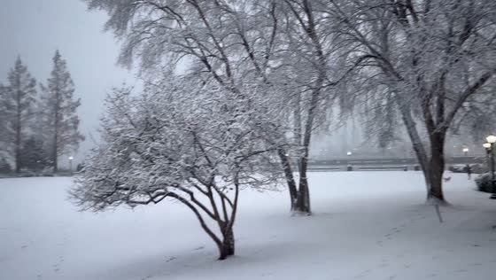 Fresh snowfall blankets Rockefeller Park in New York, USA