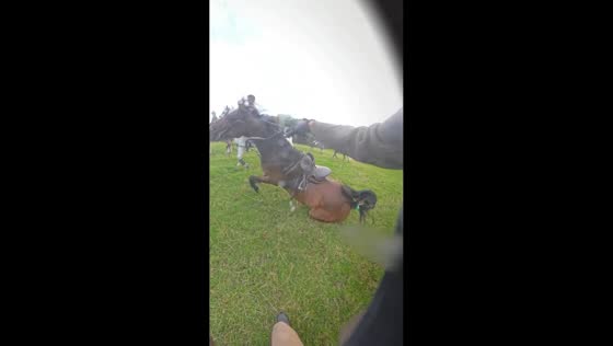 Rider falls from horse during hound exercise in Yorkshire, UK