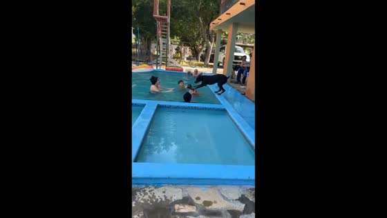 Dog accidentally steps on child while jumping into pool in Mexico