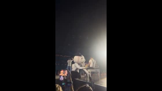 Mr. Met falls off stage during Lumineers concert in Queens, New York, USA