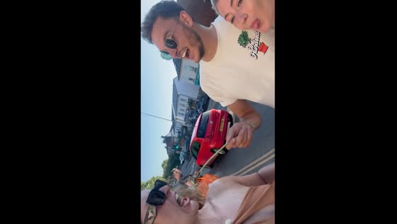 Unexpected dandelion mishap: a playful moment captured on camera