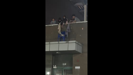 People rescue cat from roof using improvised tool in Shaanxi, China