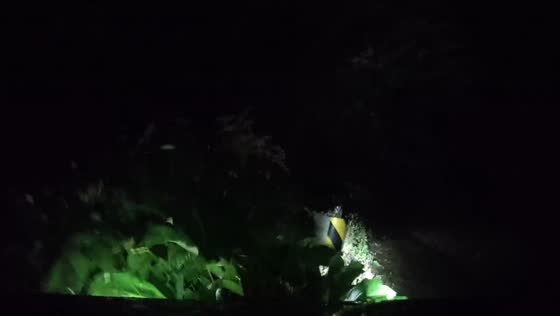 Car overturns after missing road edge while driving at night in Sichuan, China