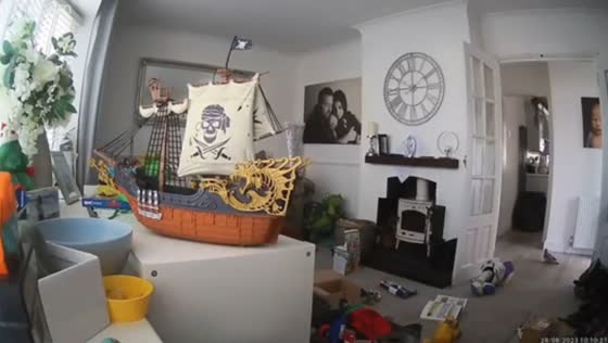 Pigeon intrusion caught on camera in UK home