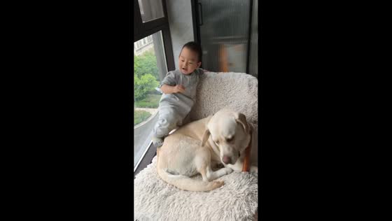 Toddler plays with dog on a chair in Zhejiang, China