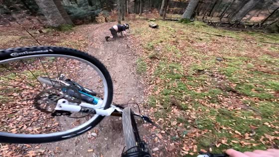 Mountain biker loses control on downhill trail in Bagnères-de-Bigorre, France