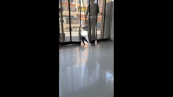 Cat hilariously kicks through screen net to enter home in Jilin, China