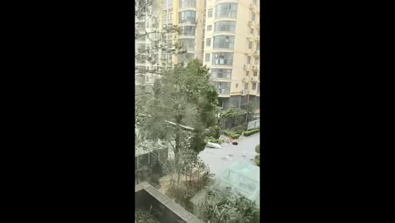 Woman knocked down by flying iron sheet during strong winds in Henan, China