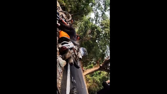Motorbike accident injures child cyclist in Cirebon, Indonesia