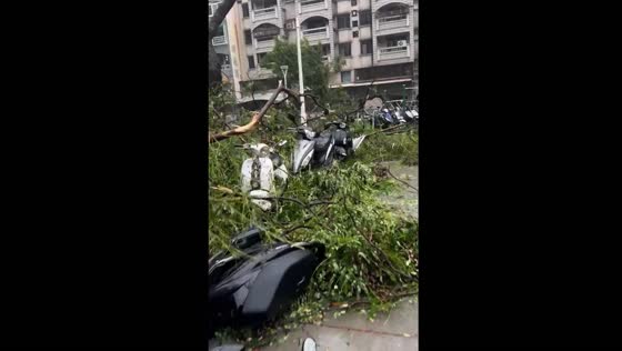  Destruction in Kaohsiung after Typhoon Krathon