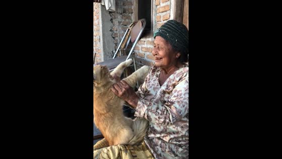 A joyful moment: mother sings and plays with cat in Yogyakarta